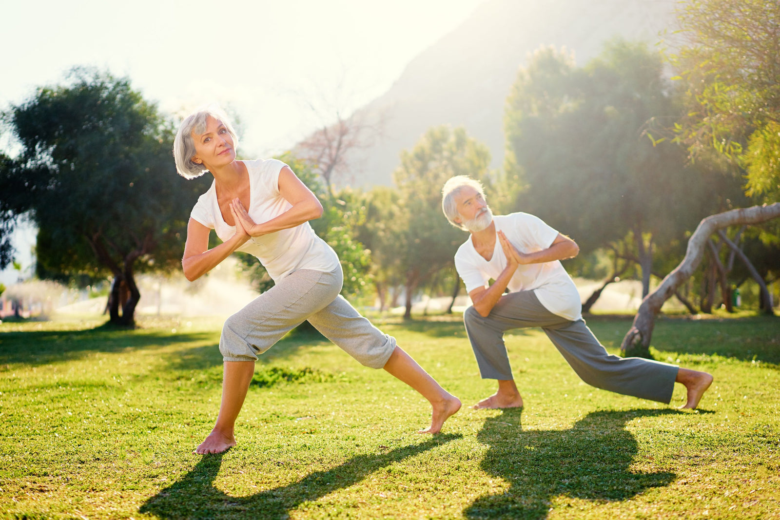 elderly couple doing yoga