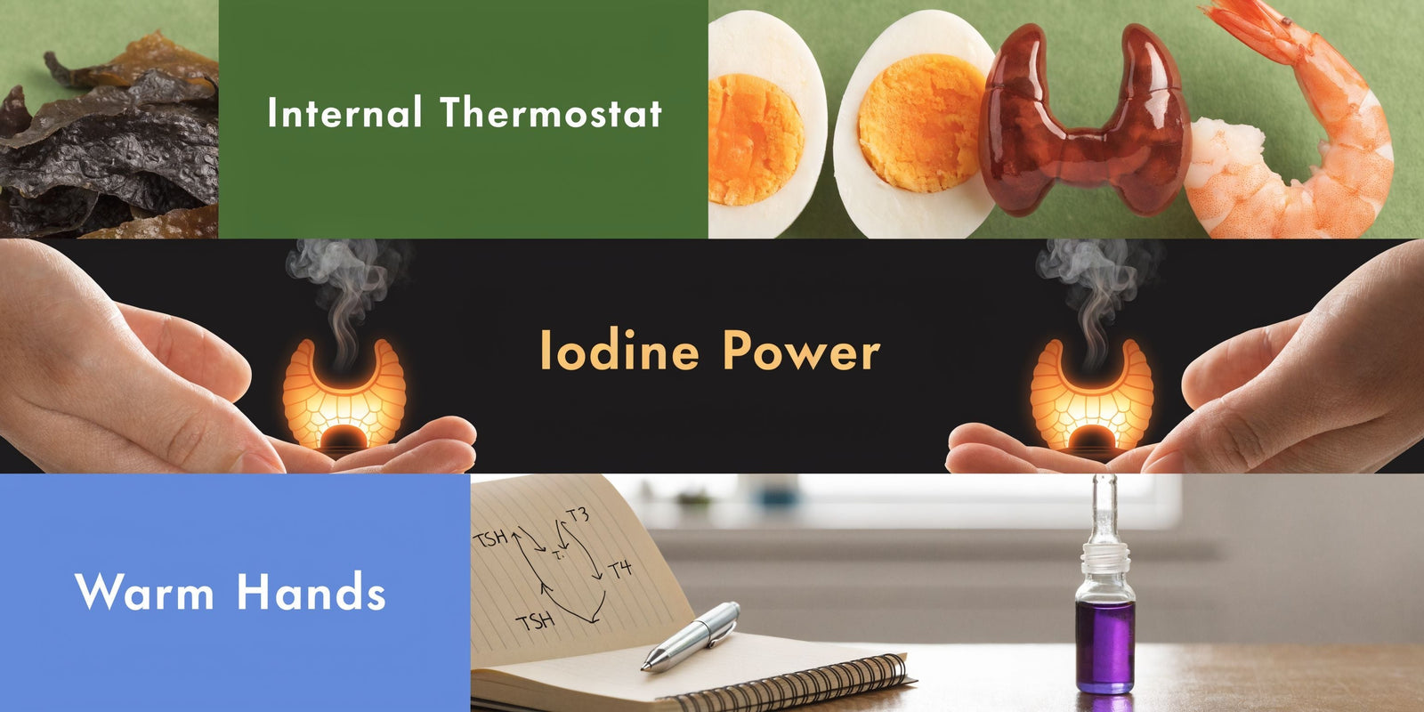 Iodine: The Internal Thermostat Fix for Cold Hands