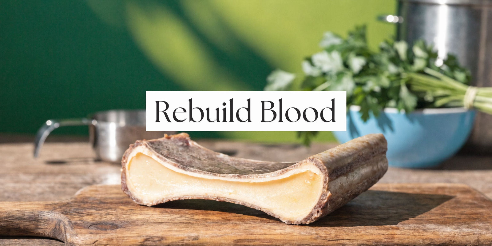 Bone Marrow: Rebuild Blood, Fight Exhaustion