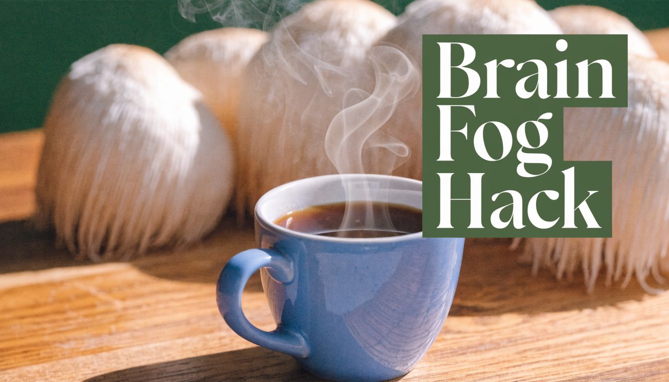 Mushroom Coffee for Brain Fog: The Lion's Mane Hack