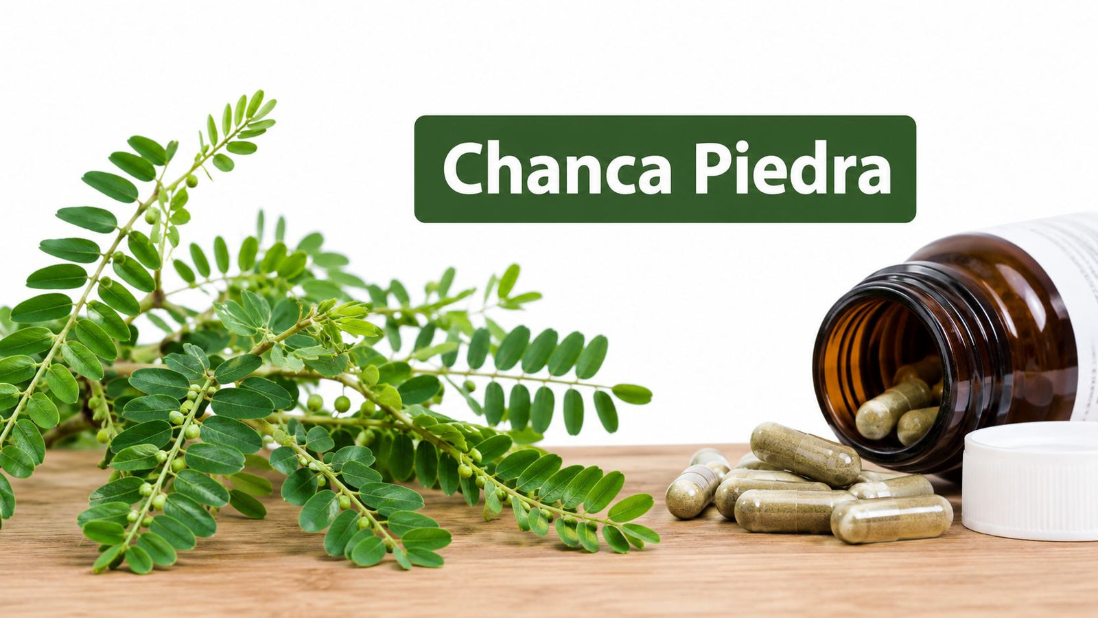 Chanca Piedra Guide: Benefits, Uses & Evidence