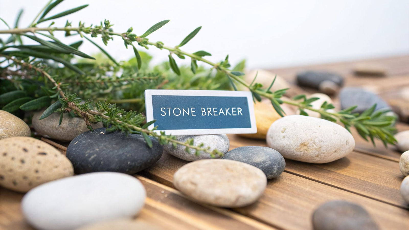 The "Stone Breaker": Top 10 Ways Chanca Piedra Softens the Blow