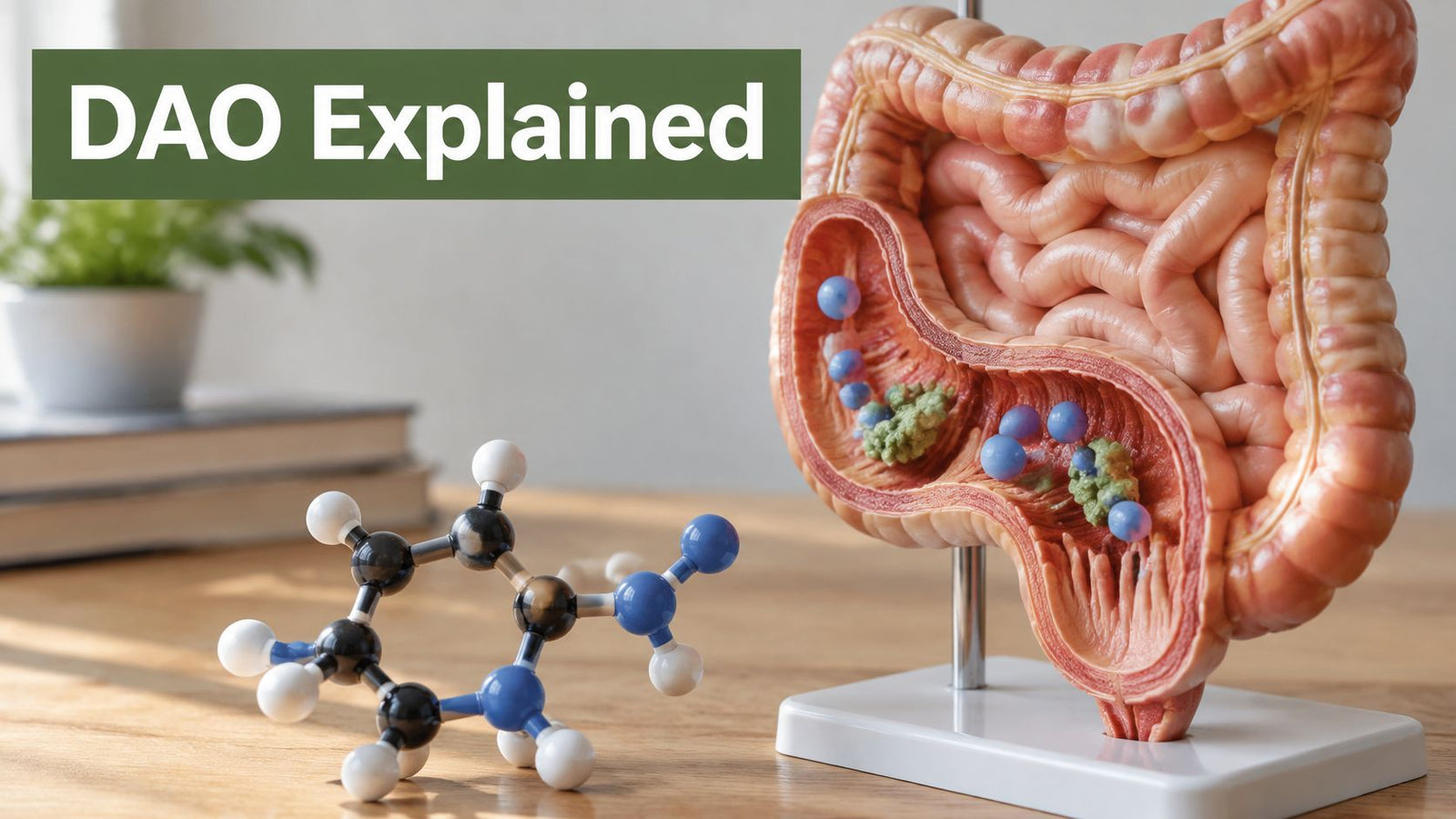 DAO Enzyme Explained: What It Does and How It Works