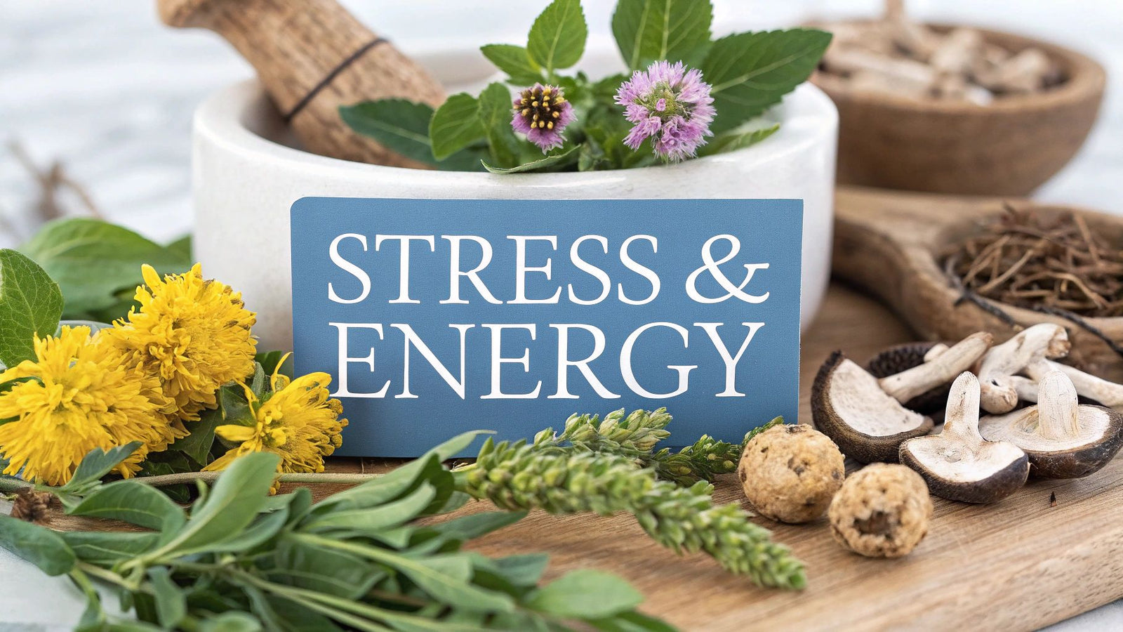 What are adaptogens? What They Do for Stress and Energy