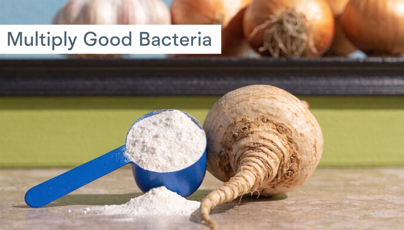 Inulin: Top 10 Ways to Multiply Good Gut Bacteria