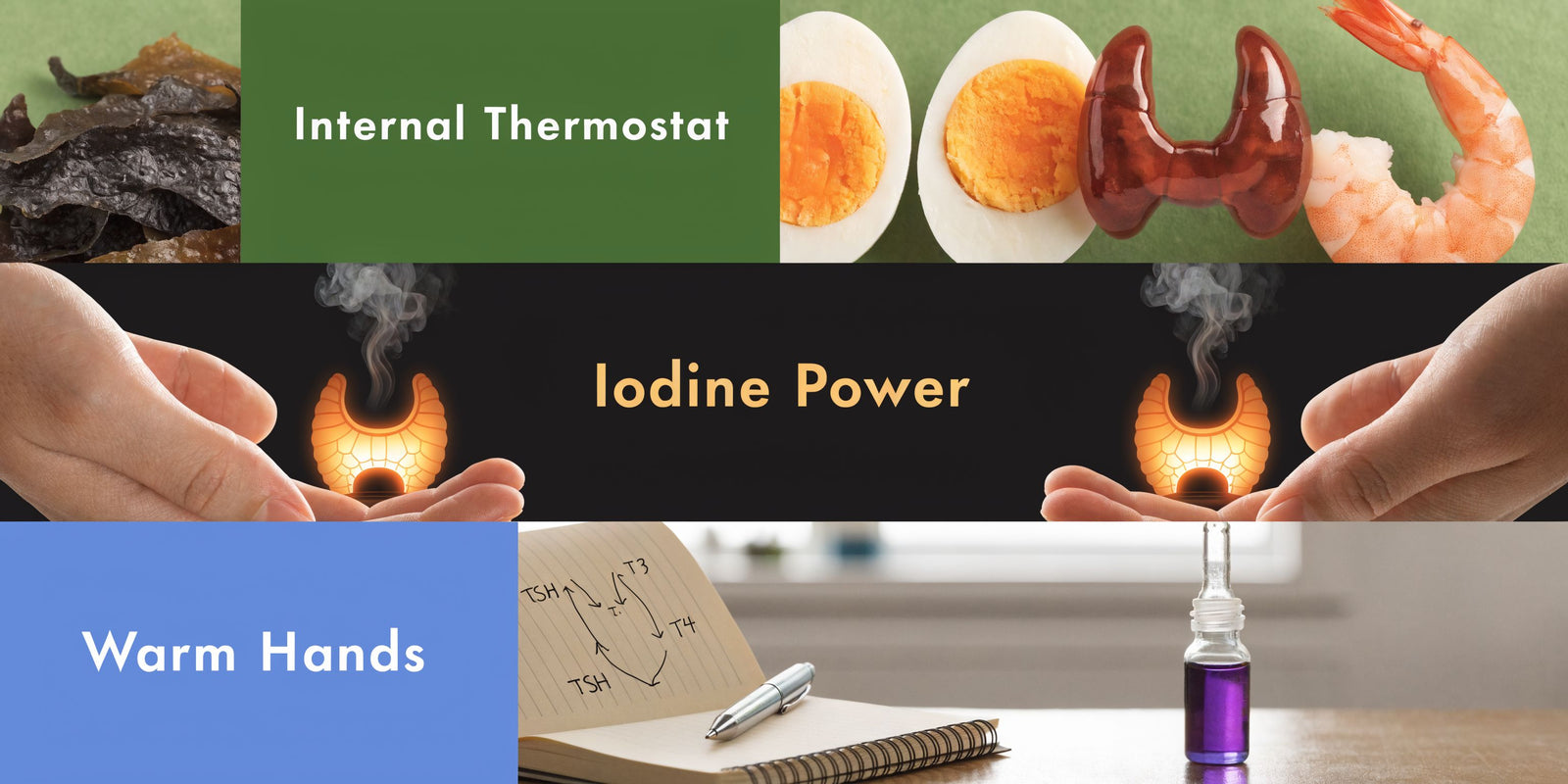 Iodine: The Internal Thermostat Fix for Cold Hands