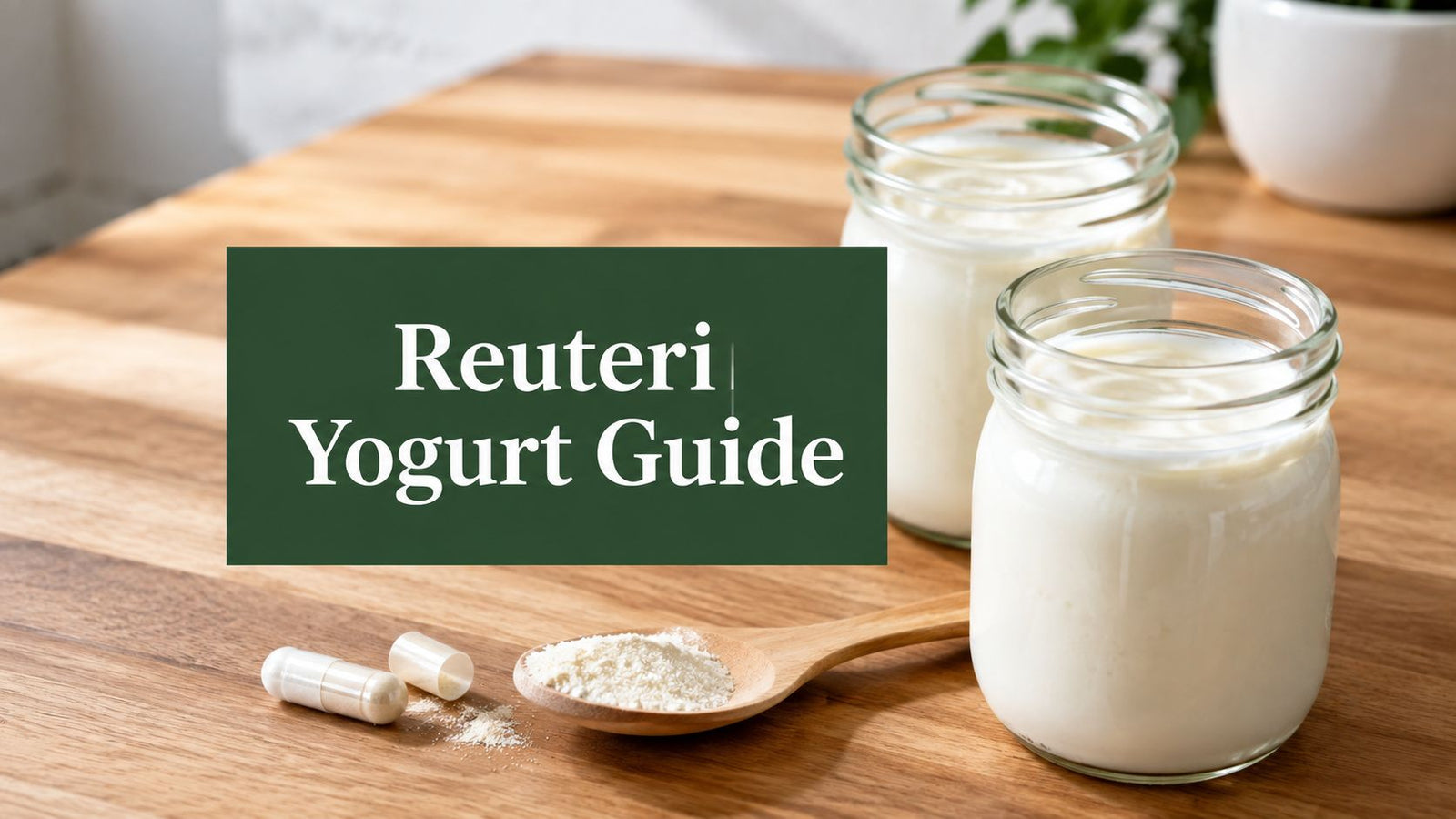 Lactobacillus Reuteri Yogurt: Foolproof 10-Step Recipe
