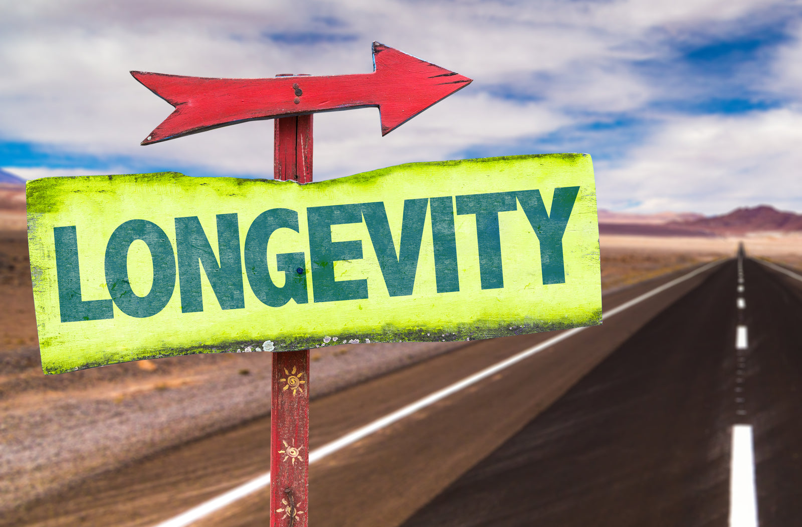 Sign Saying "Longevity"