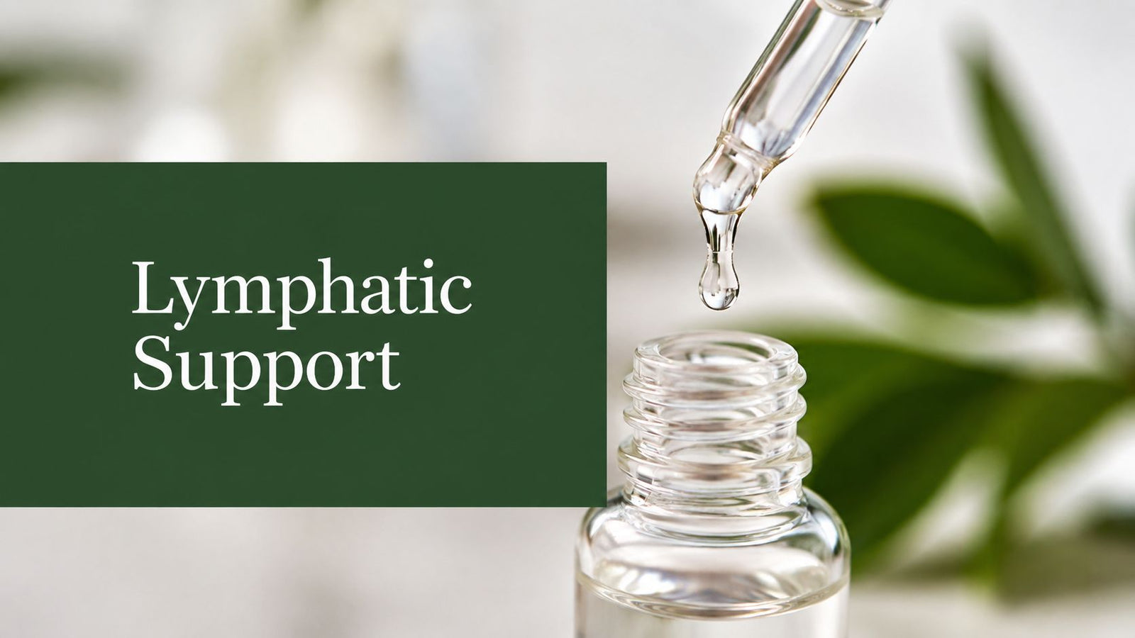 Top 10 Reasons Liquid Lymphatic Support Drops Work Faster