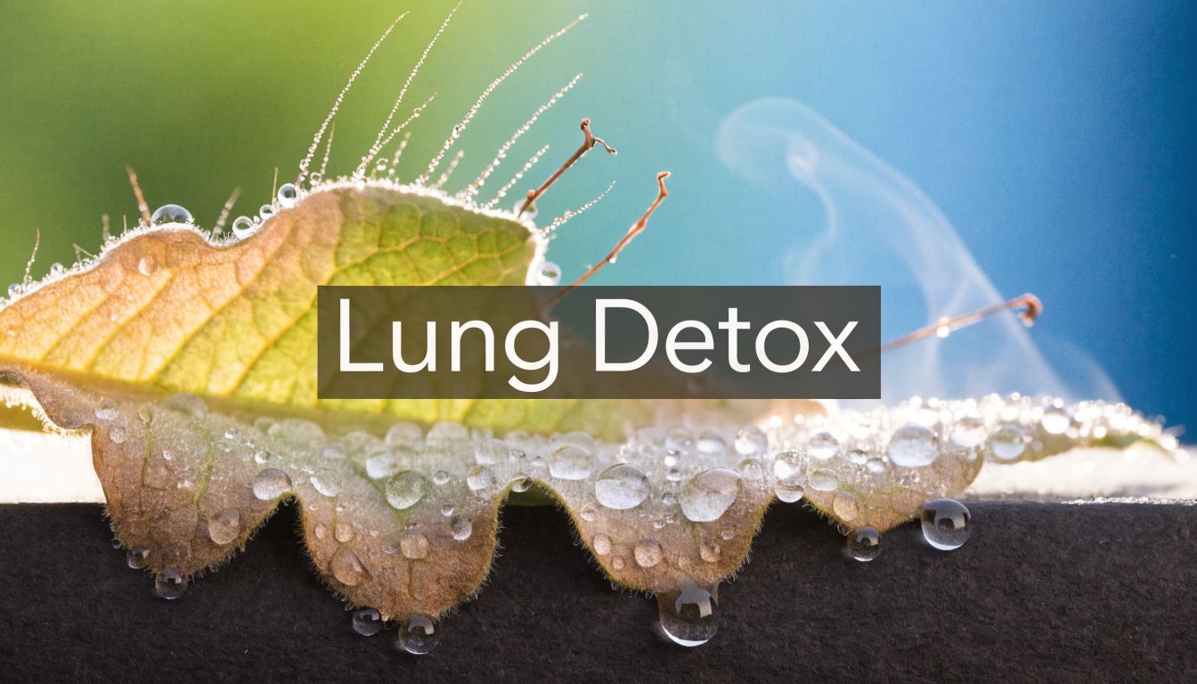 Mullein for Vaping Lung Detox: Clear Residue Now
