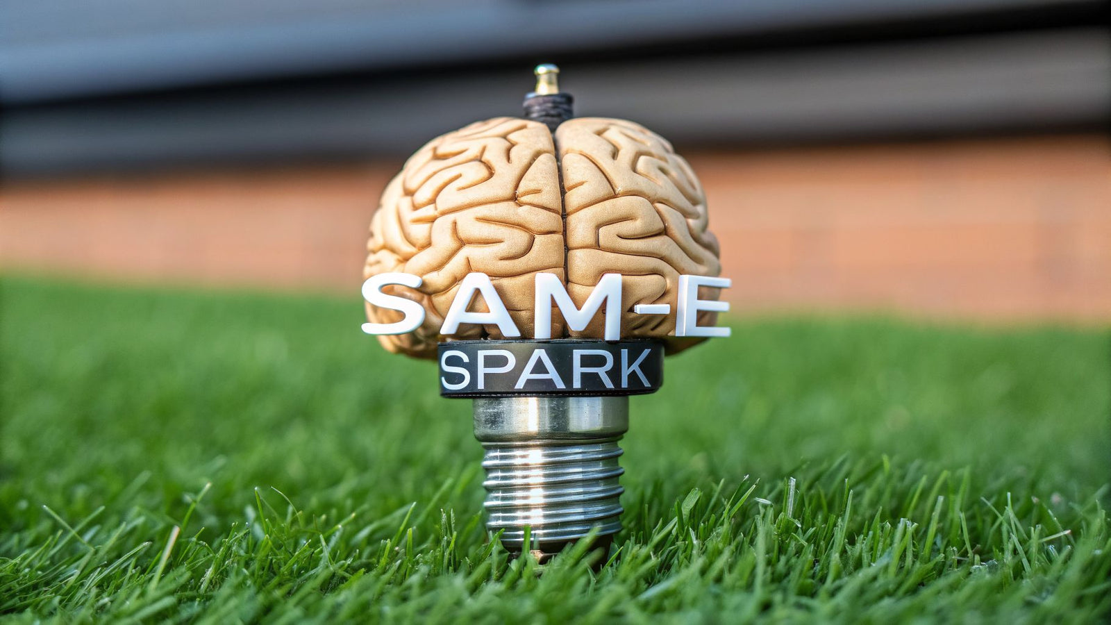 Top 10 Ways SAM-e Acts as the Brain’s "Spark Plug"