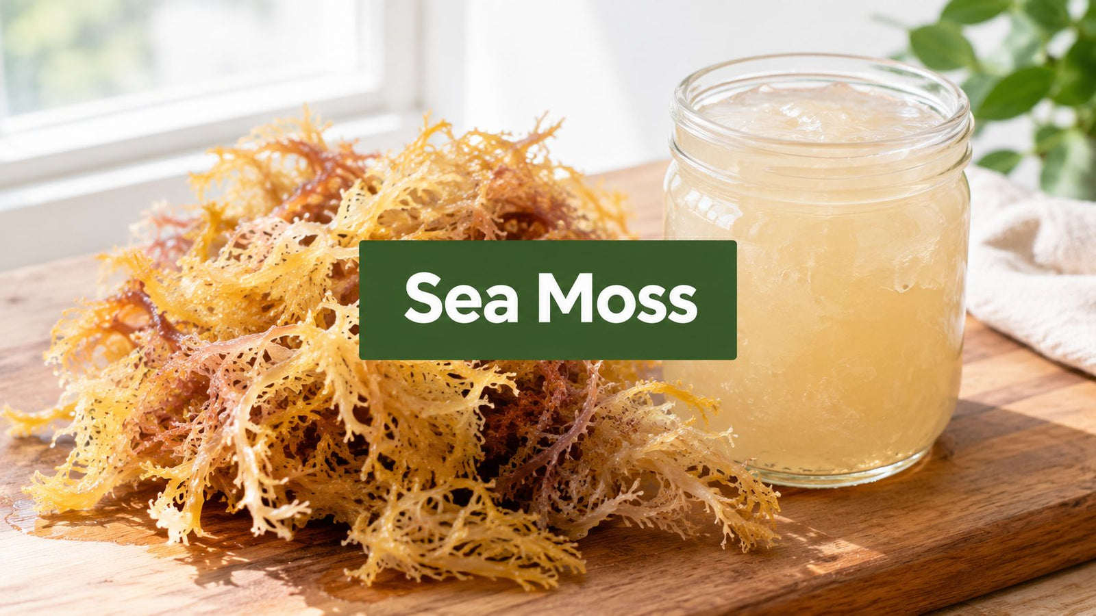 Sea Moss