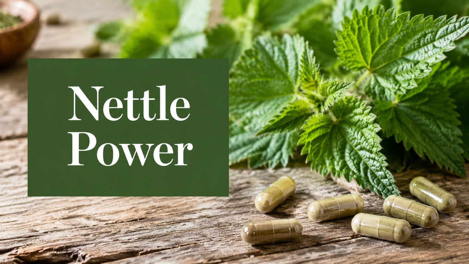 Top 10 Reasons Stinging Nettle Capsules Are the Ultimate Antihistamine