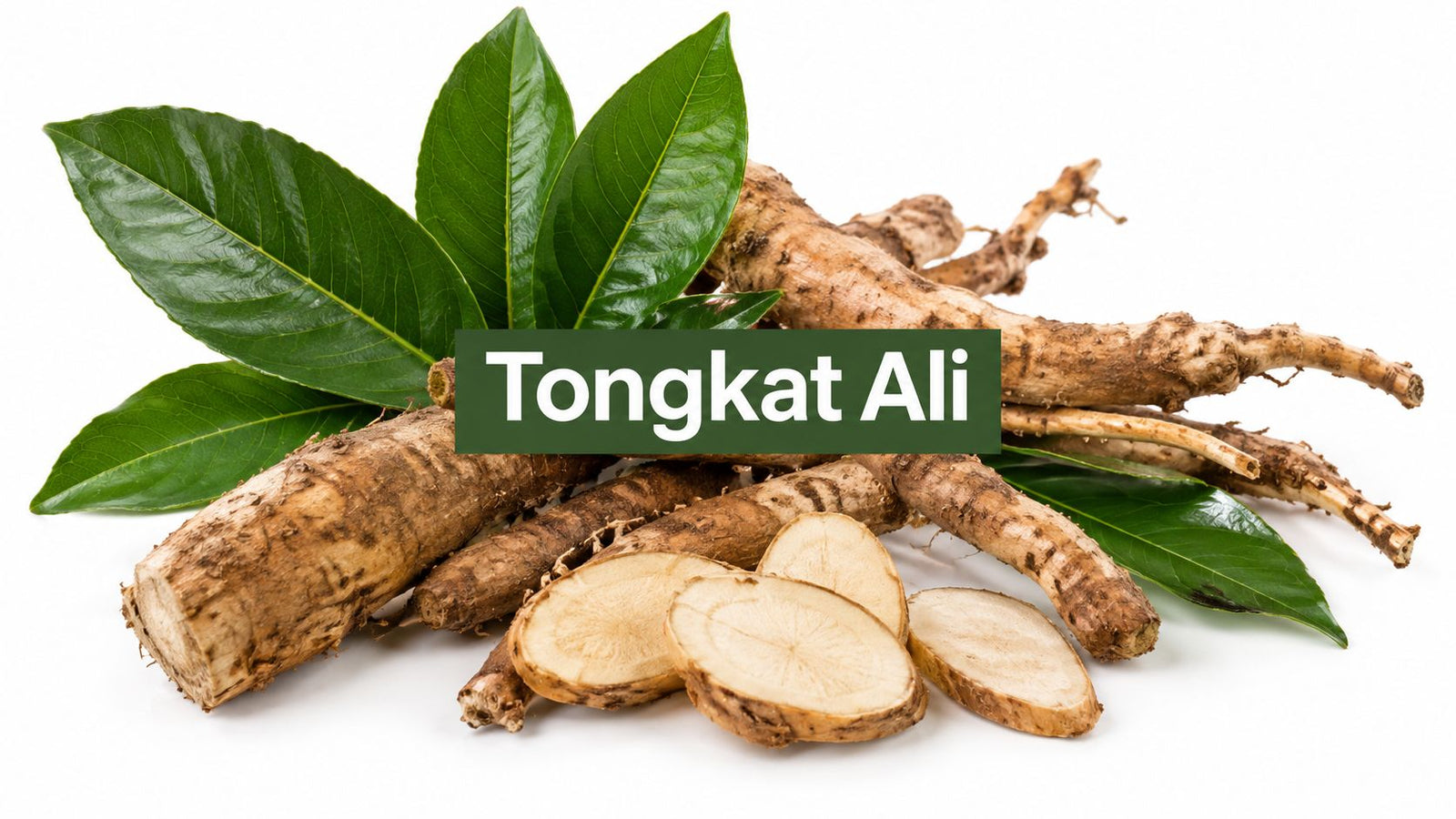 Tongkat Ali