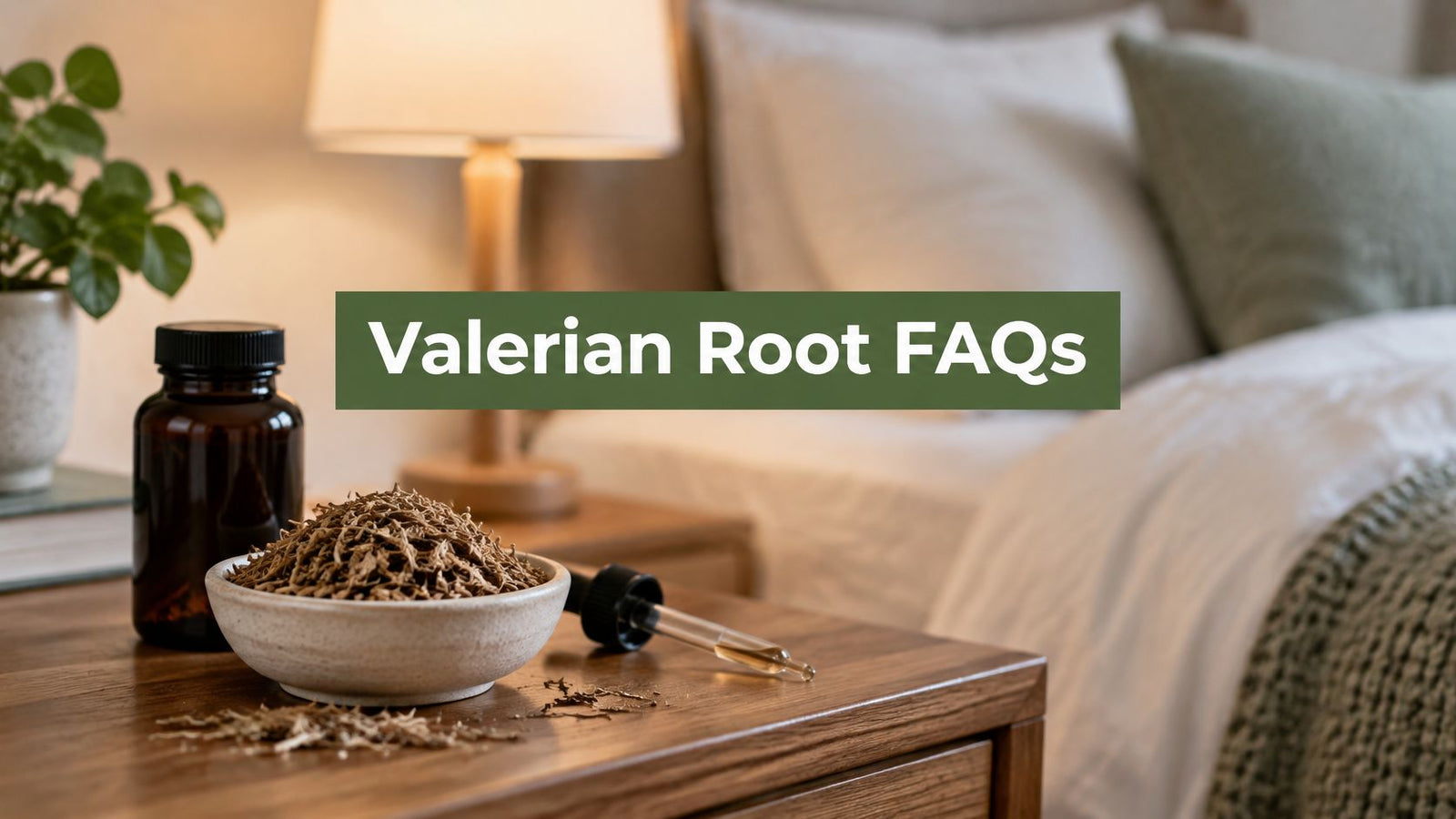 Top 10 FAQs About Taking Valerian Root for the First Time