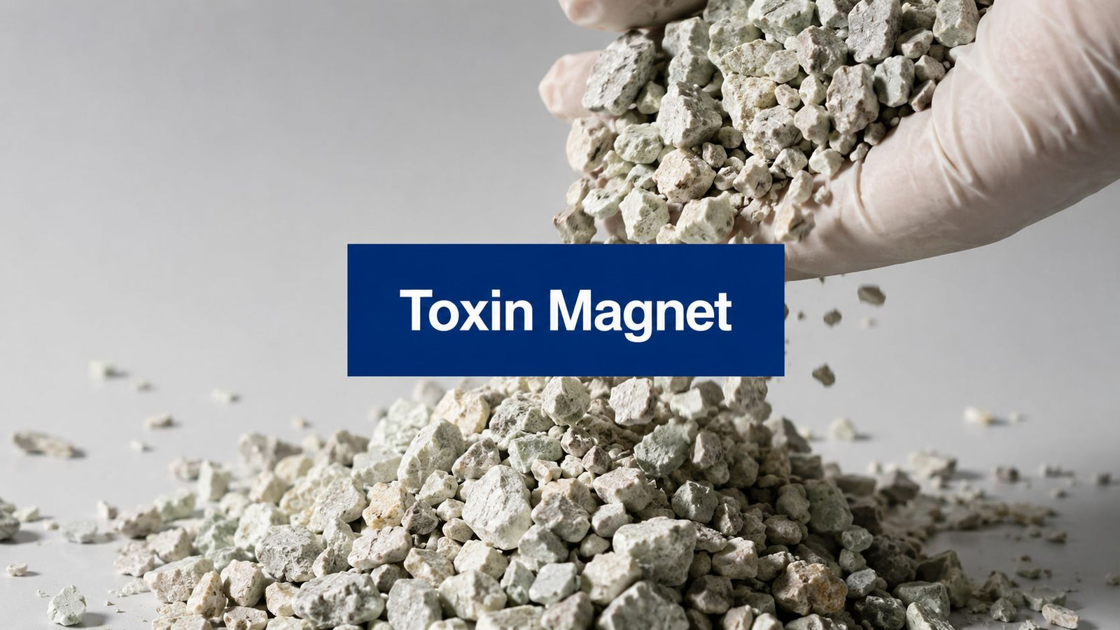 Top 10 Ways Zeolite Acts Like a Toxin Magnet Inside Cells