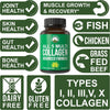 Peak Performance All 5 Multi-Collagen Capsules - 90 Pills of Grass Fed Peptides Protein - Supplement with All 5 Collagen Types I, II, III,V, X from Beef, Fish, Eggshell, and Chicken Bone Broth