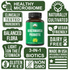 Akkermansia Probiotic Capsules
