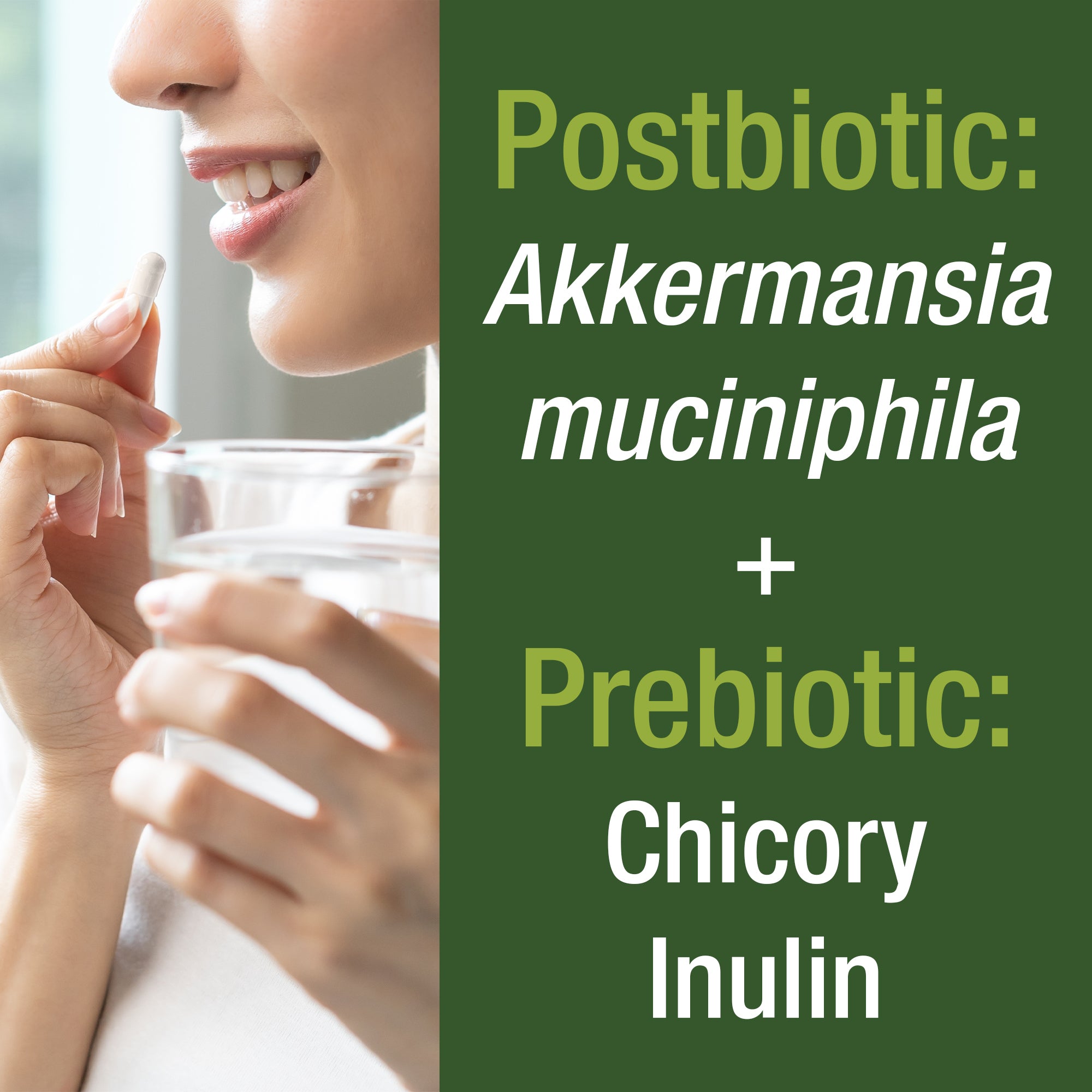 Akkermansia Probiotic Capsules