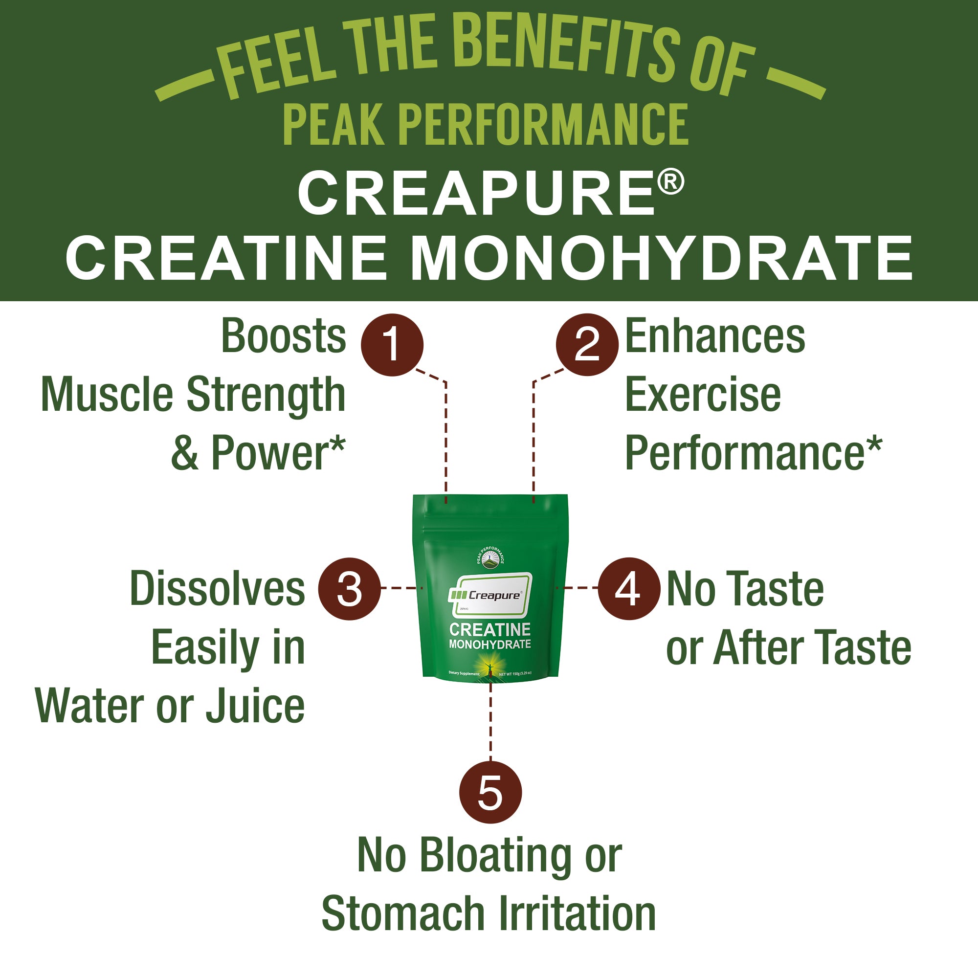 Creapure Creatine Monohydrate Powder