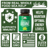Raw Whole Food Iodine Capsules