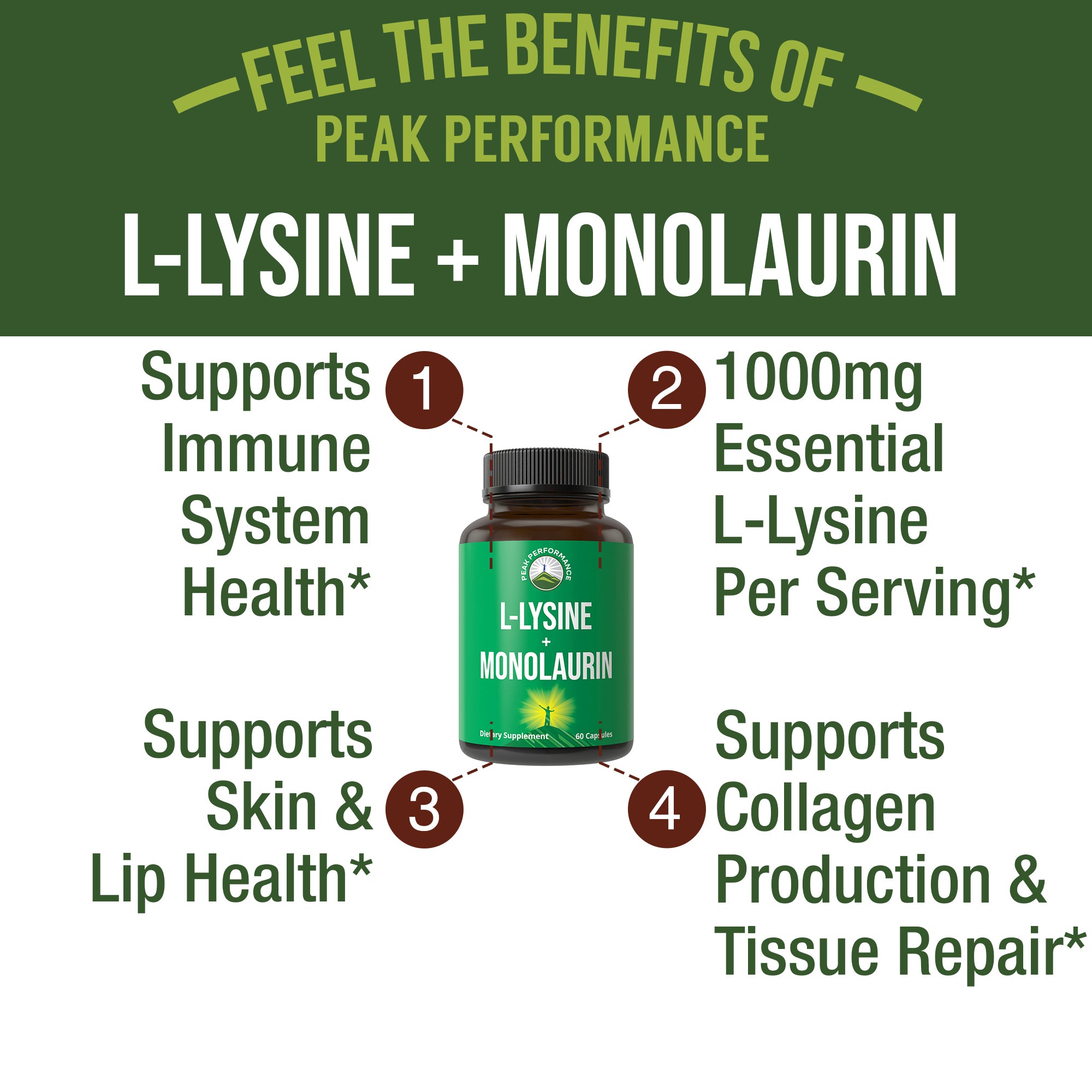 Peak Performance L Lysine 1000mg + Monolaurin 500mg Supplement for Immune Support - High Potency L-Lysine for Lips, Skin, & Health - 2-in-1 Bioavailable Supplements for Men and Women - 60 Capsules