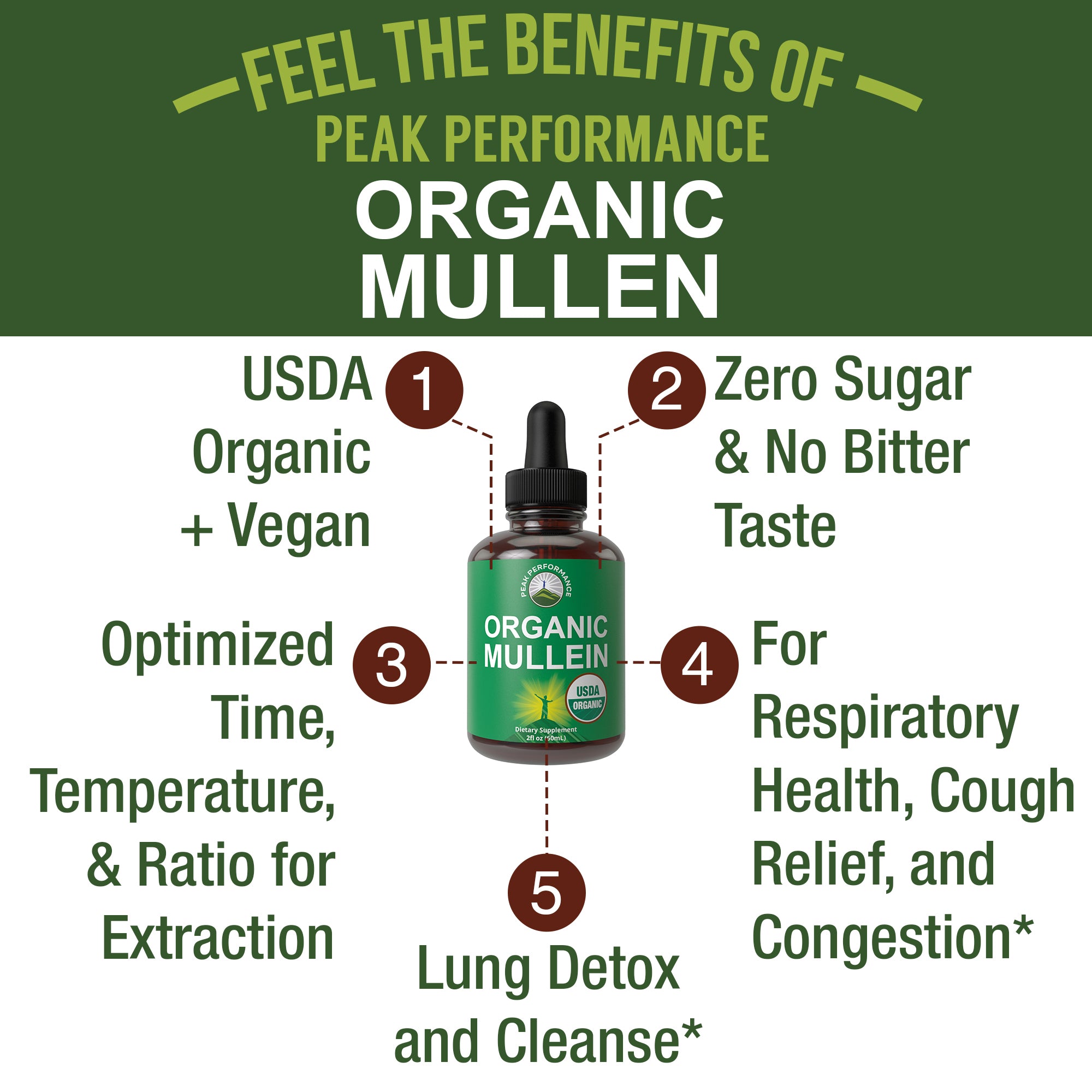 Liquid Mullein Leaf Drops