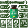 ALL 5 MULTI Collagen Capsules With All 5 Collagen Types I, II, III,V, X
