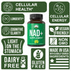 NAD+ Capsules