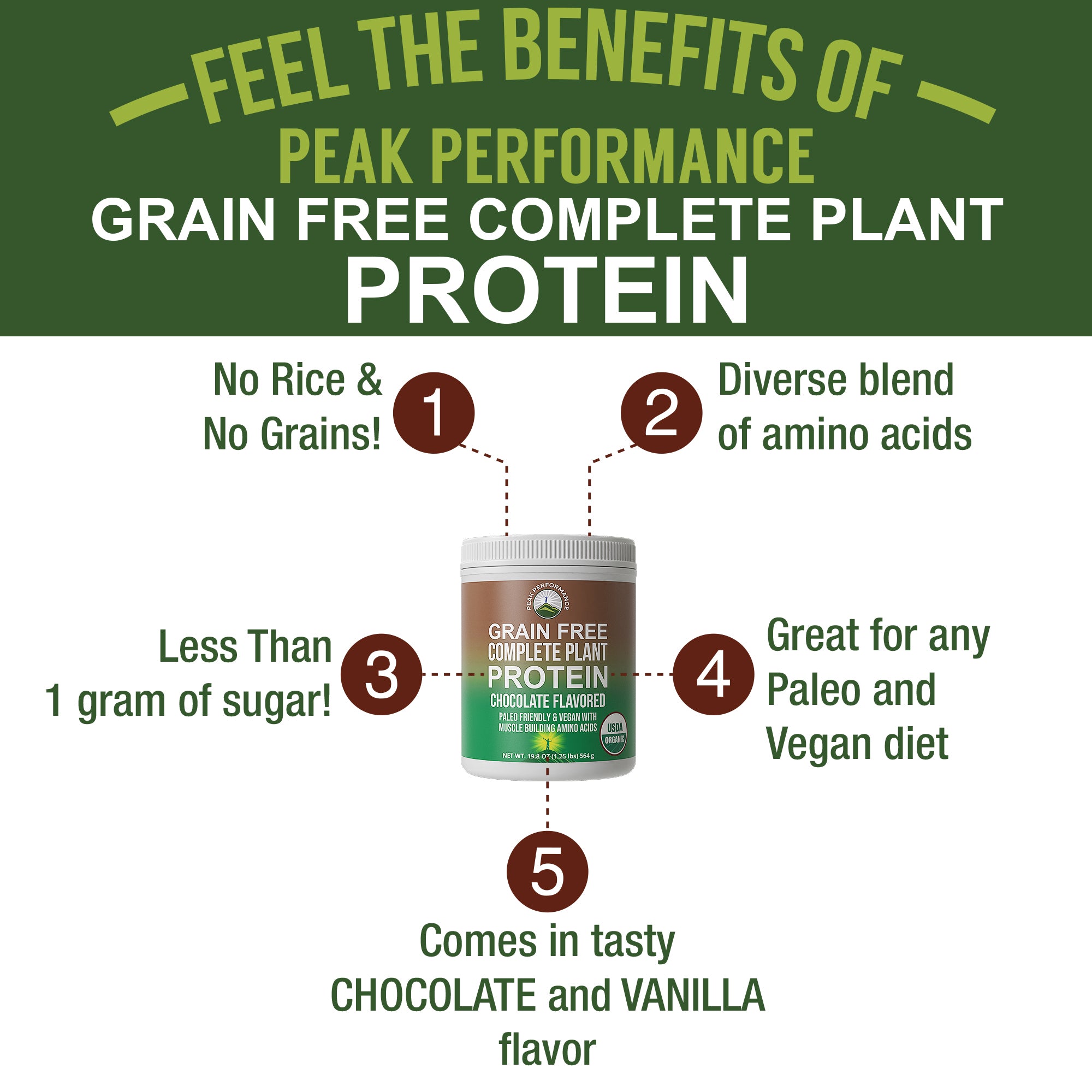 Organic Plant Based Grain-Free Protein Powder (Chocolate Flavor)