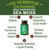 Organic Irish Sea Moss Capsules