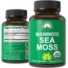 Organic Irish Sea Moss Capsules