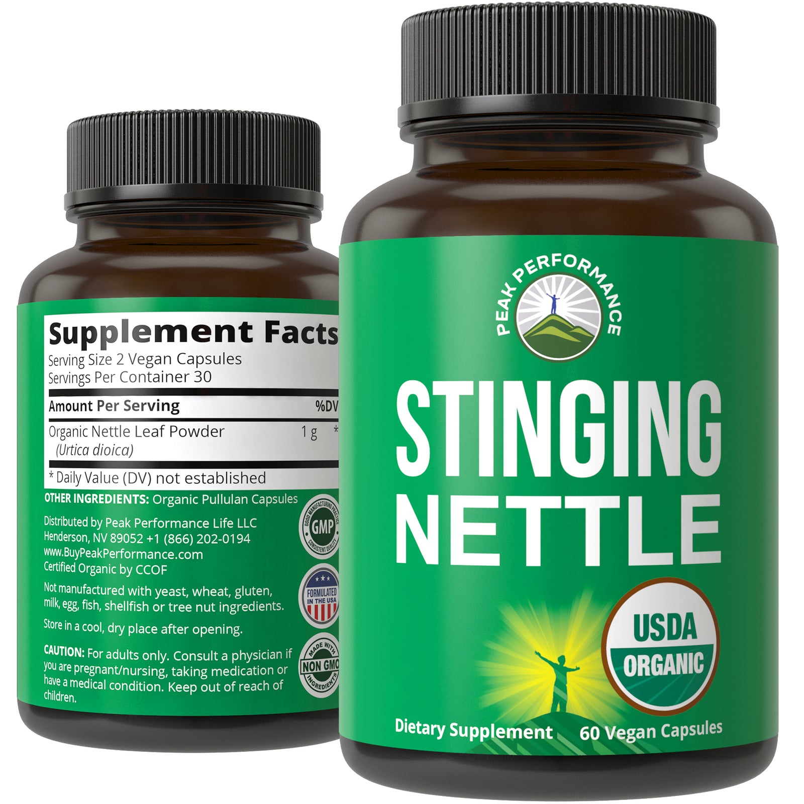 Stinging Nettle