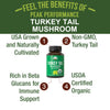 Organic Turkey Tail Mushroom Capsules (USA Grown)