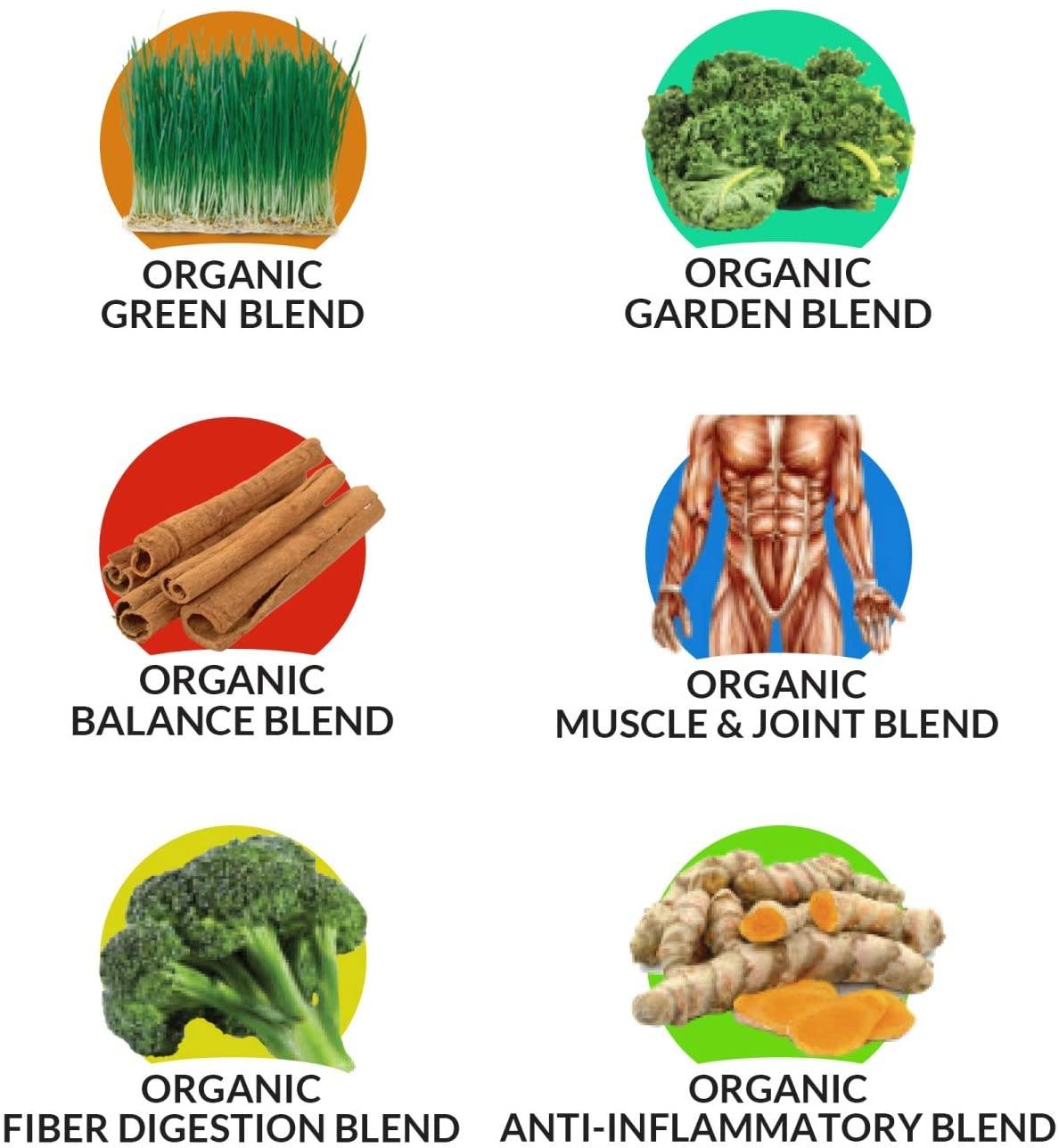 Organic Delicious Greens Superfood Powder - Peak Performance